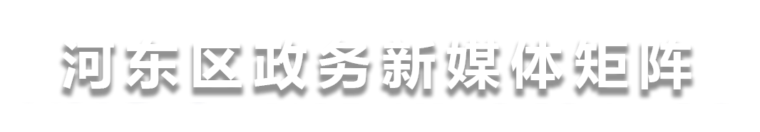 河东区政务新媒体矩阵